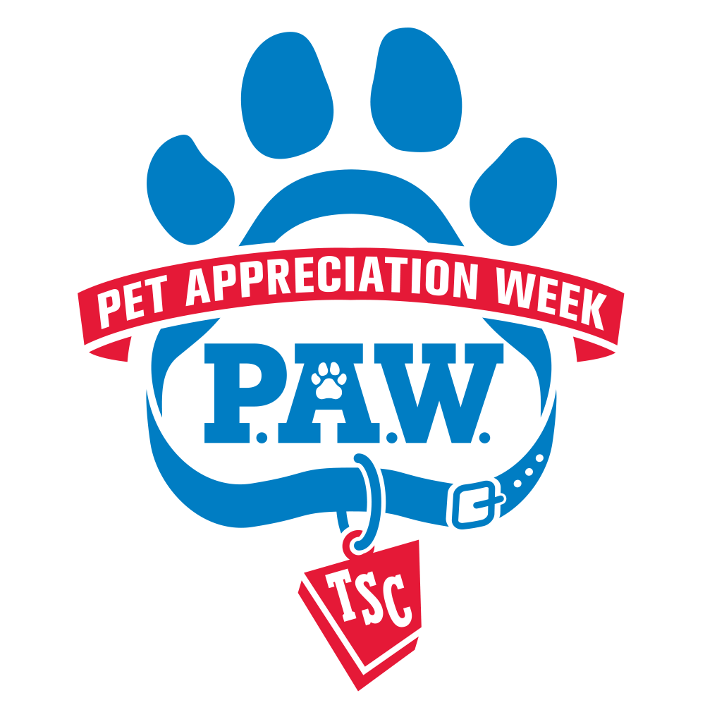 pets clipart dog toy