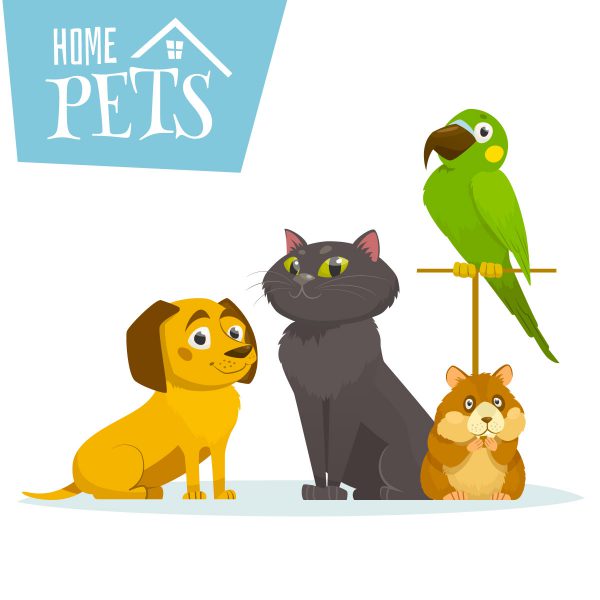 Pets clipart friend. Take care of your