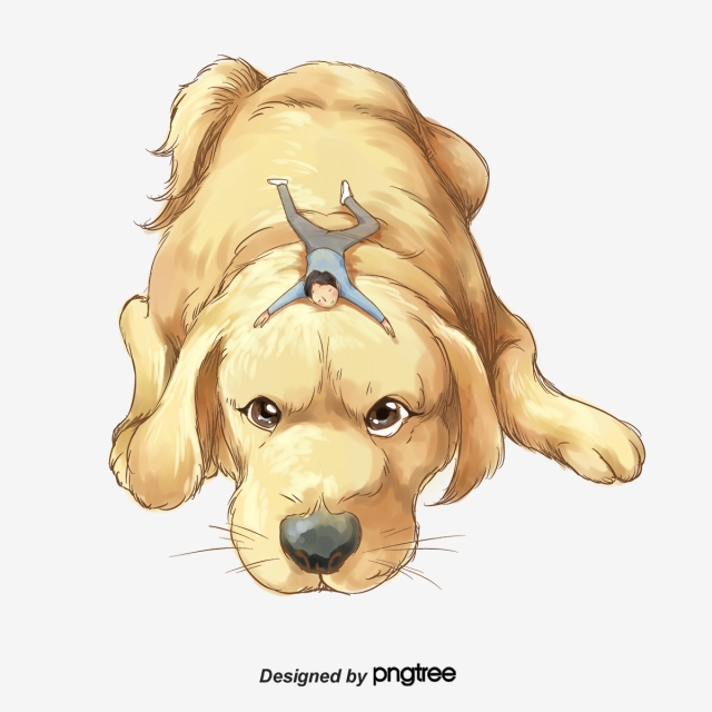 Pets clipart male dog. Creative pet animal png