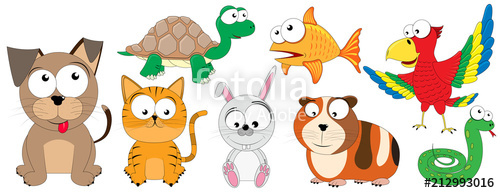 Domestic animals collection of. Pets clipart pet snake