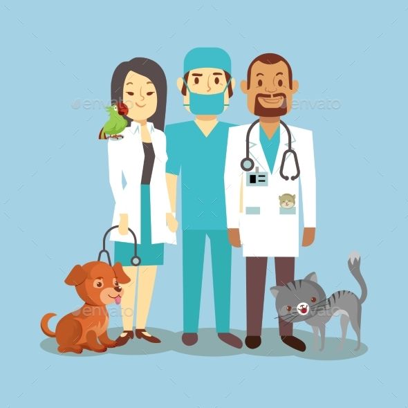 veterinarian clipart veterinary doctor