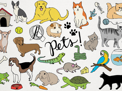 pets clipart wallpaper