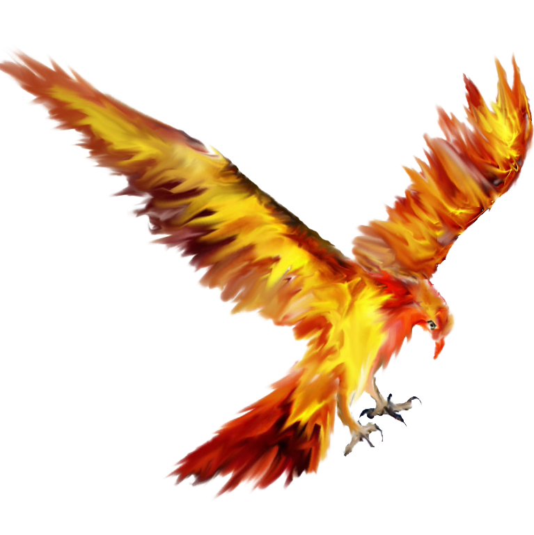 Phoenix clipart fawkes. Lights logo information png