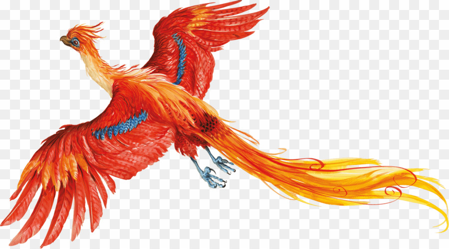 phoenix clipart harry potter phoenix