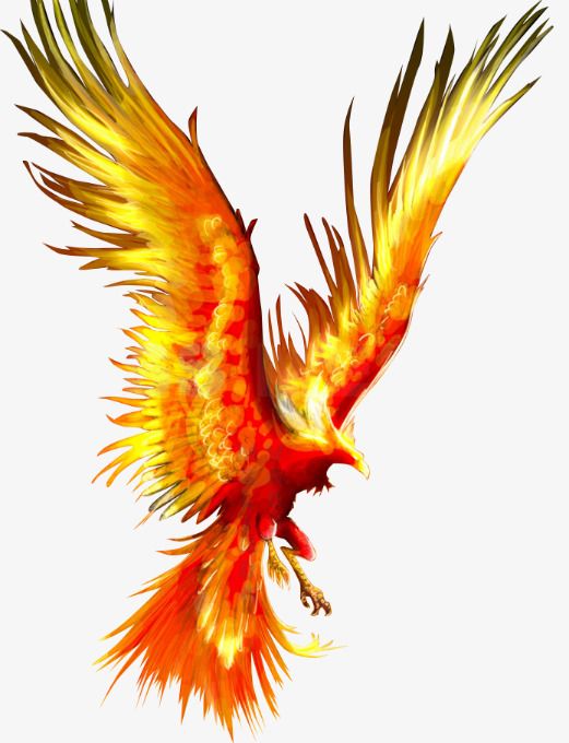 Phoenix Clipart Myth Phoenix Myth Transparent Free For