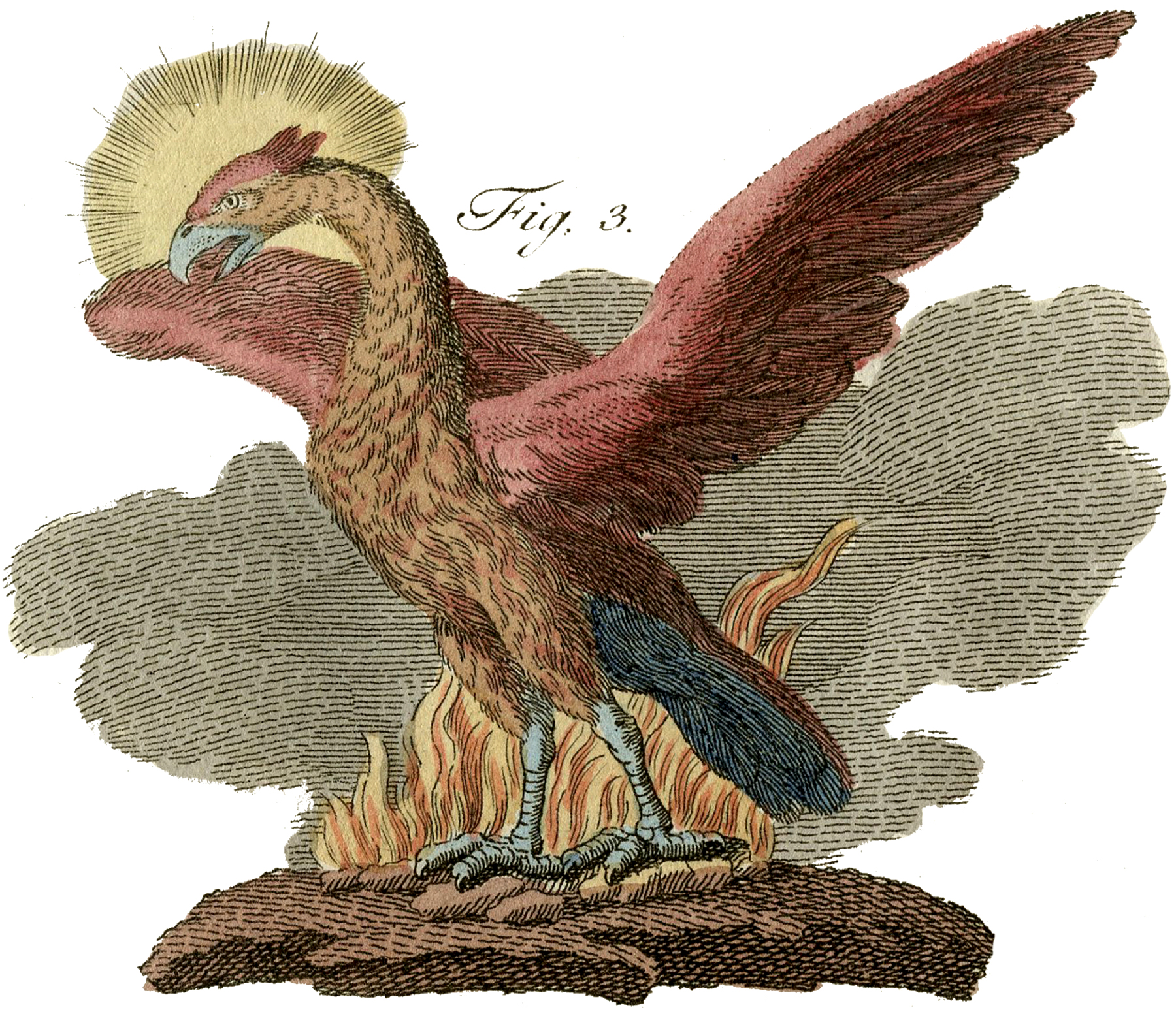phoenix clipart public domain