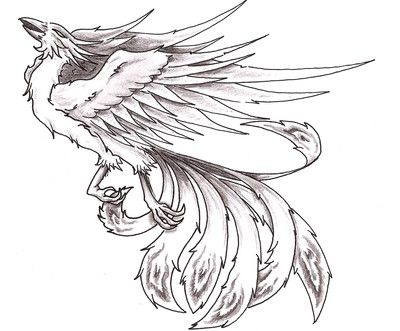 phoenix clipart sketching