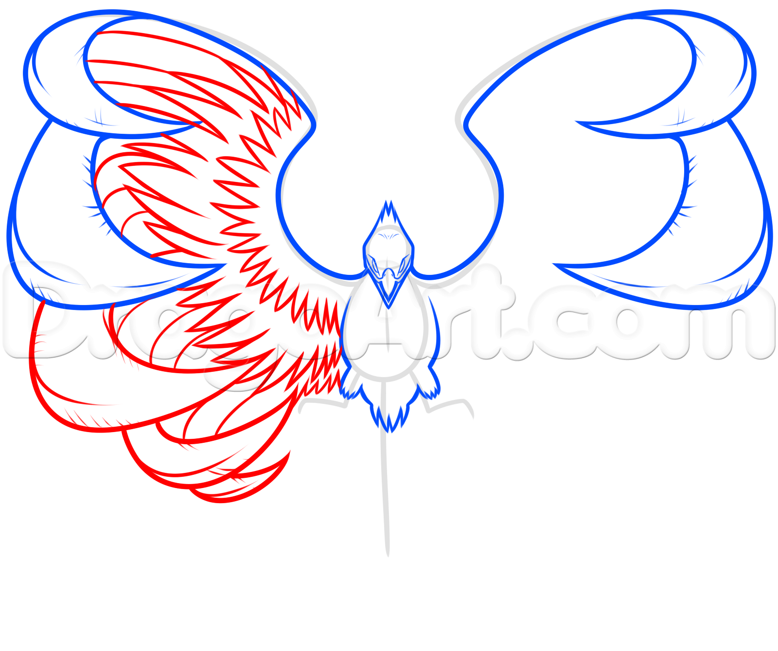 phoenix clipart sketching