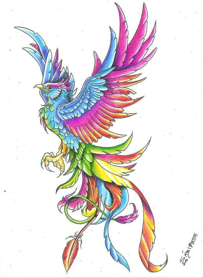 phoenix clipart tattoo