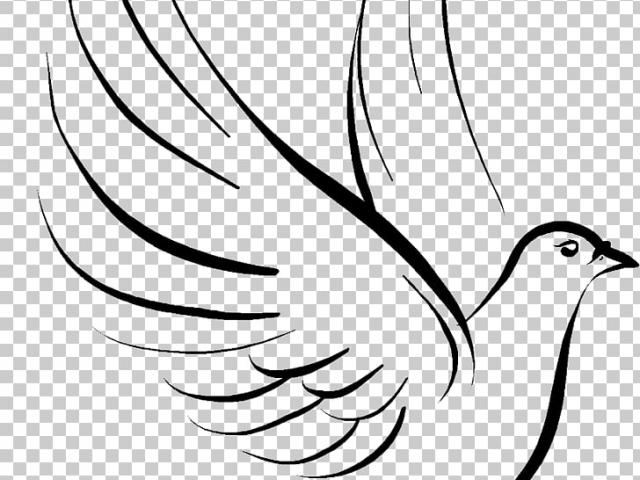 Phoenix clipart the bible, Phoenix the bible Transparent FREE for ...