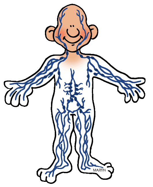 Body clip art by. Photo clipart human