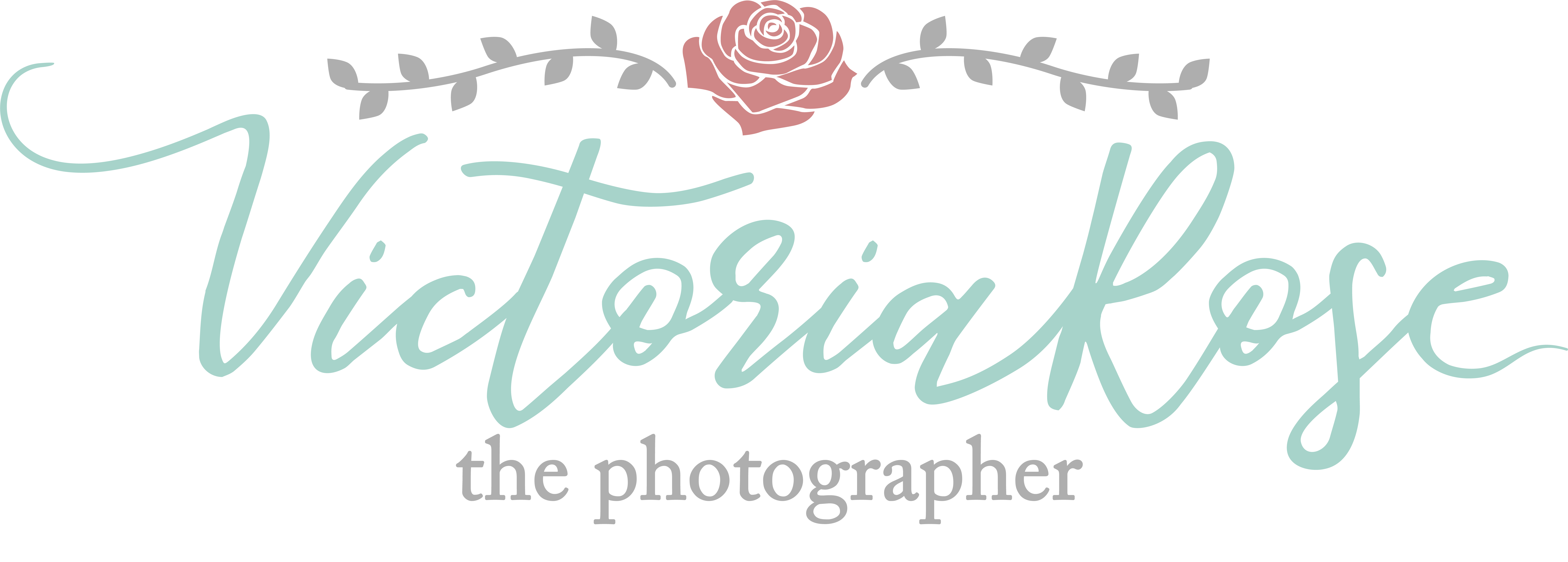 Home victoria rose . Photographer clipart nature photography