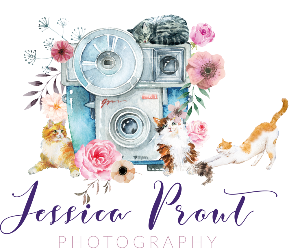 photography clipart director photography