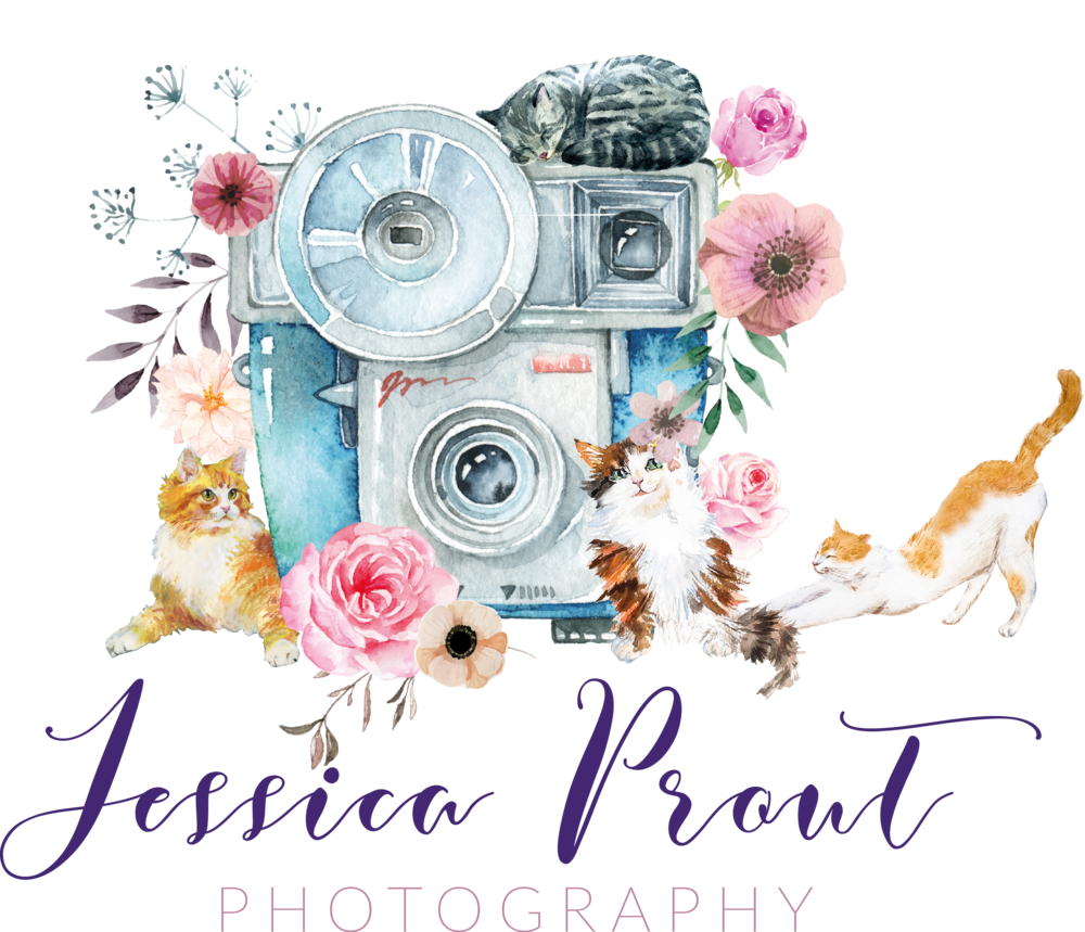 New england photographer jessica. Photography clipart director photography