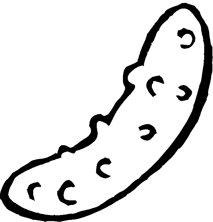 pickle clipart outline