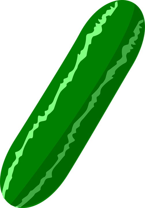 Pickles pickle slice