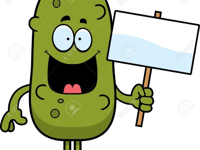 Pickles clipart. Pickle at getdrawings com