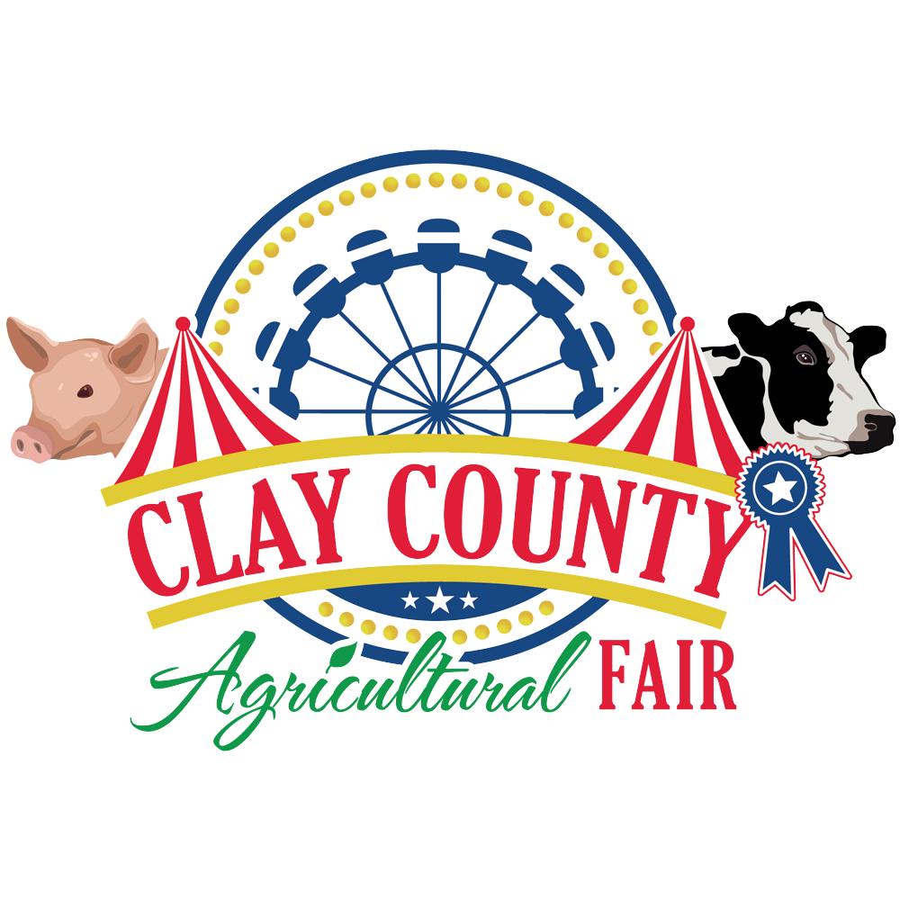 Picnic clipart recreational park. Parks recreation clay county