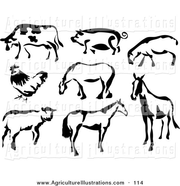 pig clipart cow