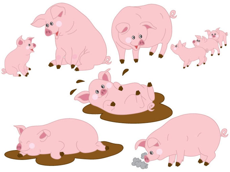 Digital vector farm animal. Pigs clipart baby pig