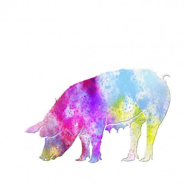 Pig clipart watercolor. Painting free stock photo