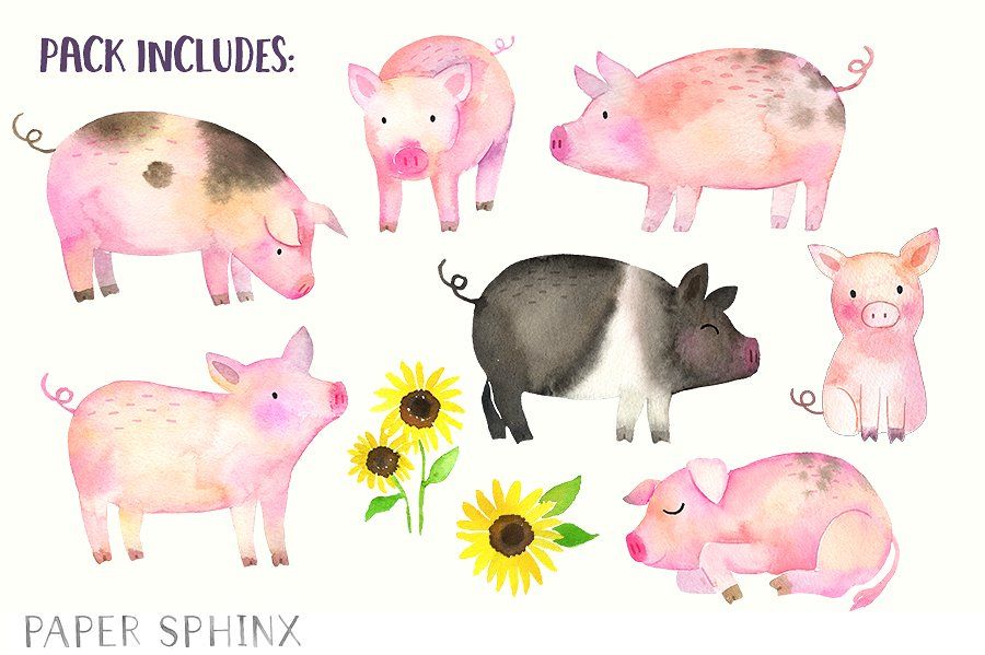 Pigs pack showers nursery. Pig clipart watercolor