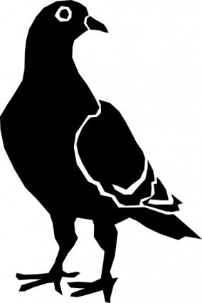 Free silhouette and vector. Pigeon clipart