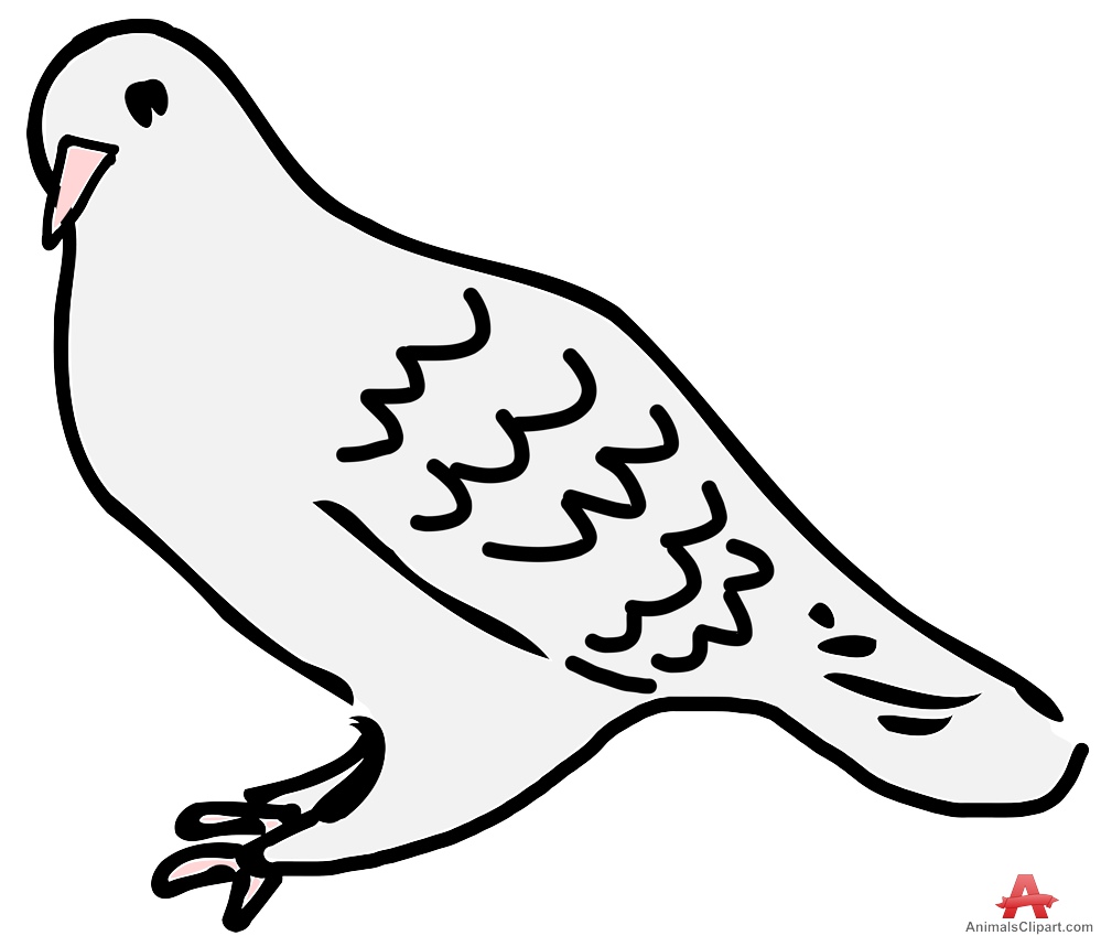 Pigeon clipart. Bird free design download