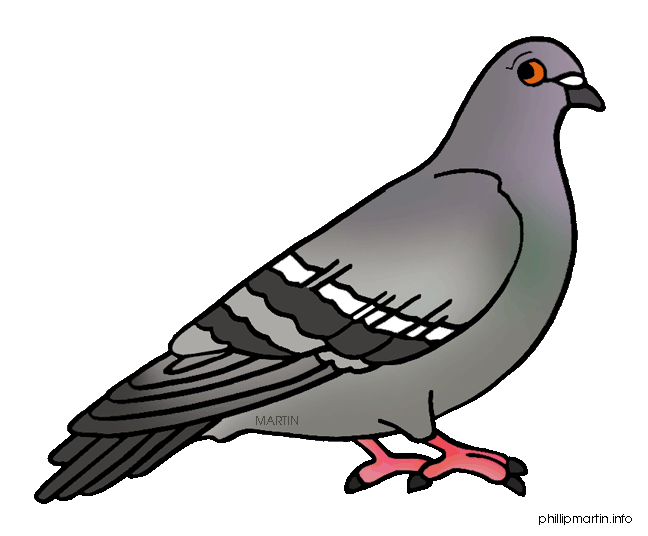 Pigeon clip art free. Doves clipart merpati