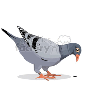 Eating royalty free . Pigeon clipart animated