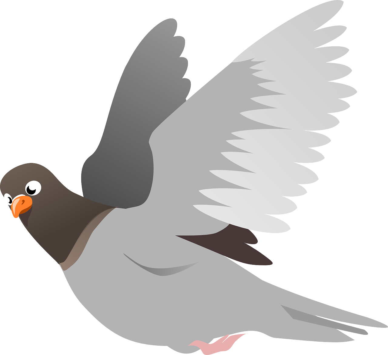 pigeon clipart bird landing