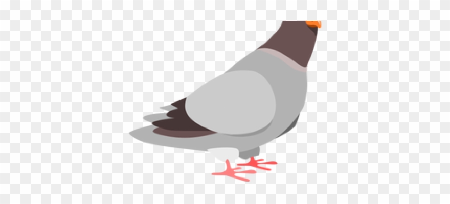 pigeon clipart burung