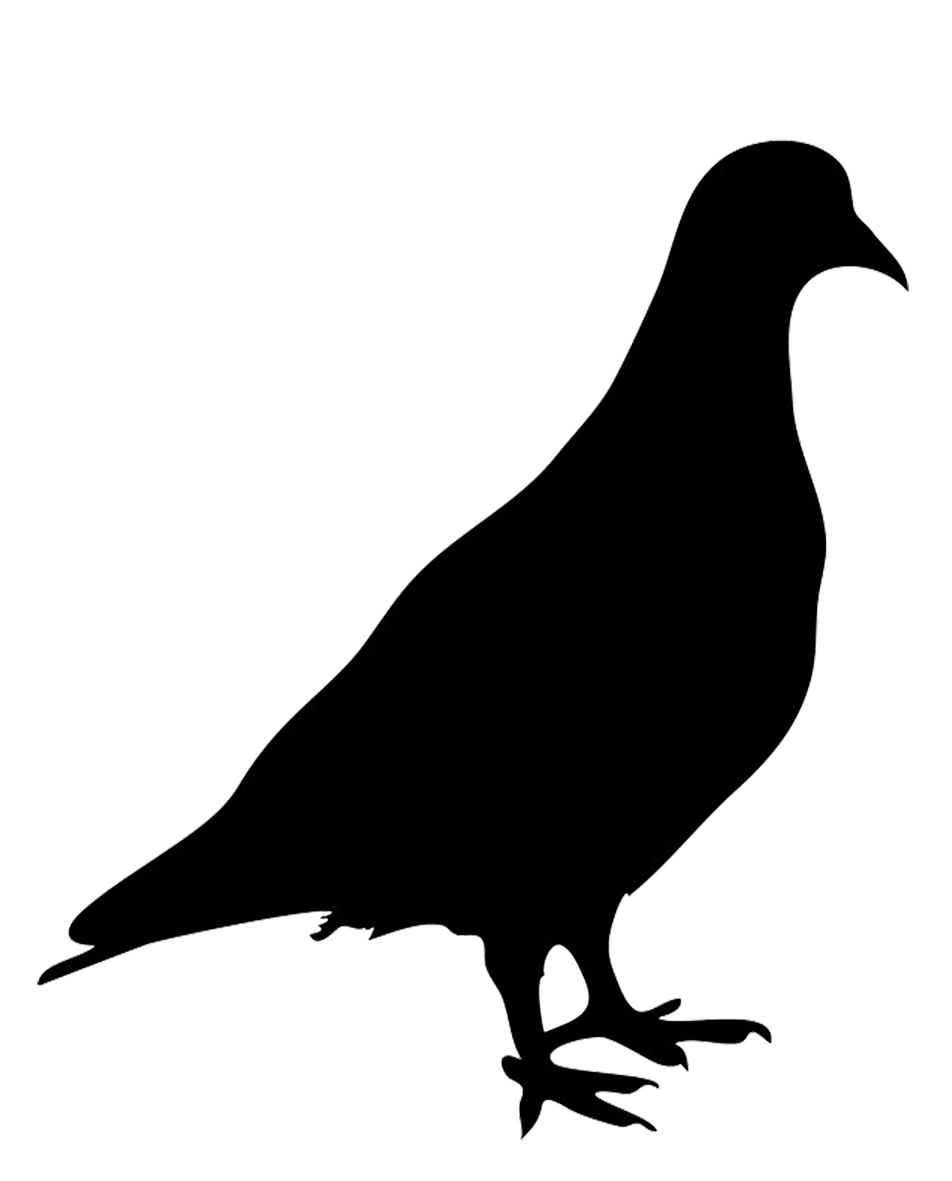 Pigeon clipart clip art. Silhouette of png wassu