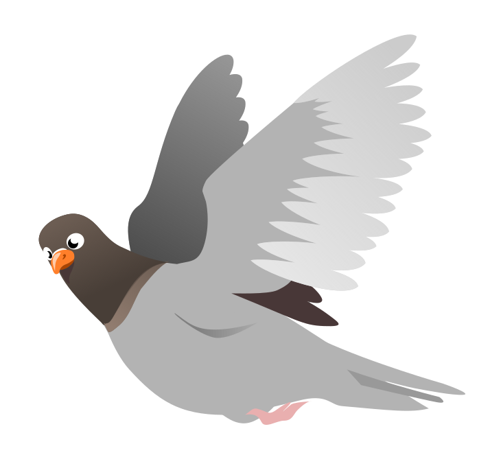 pigeon clipart couple