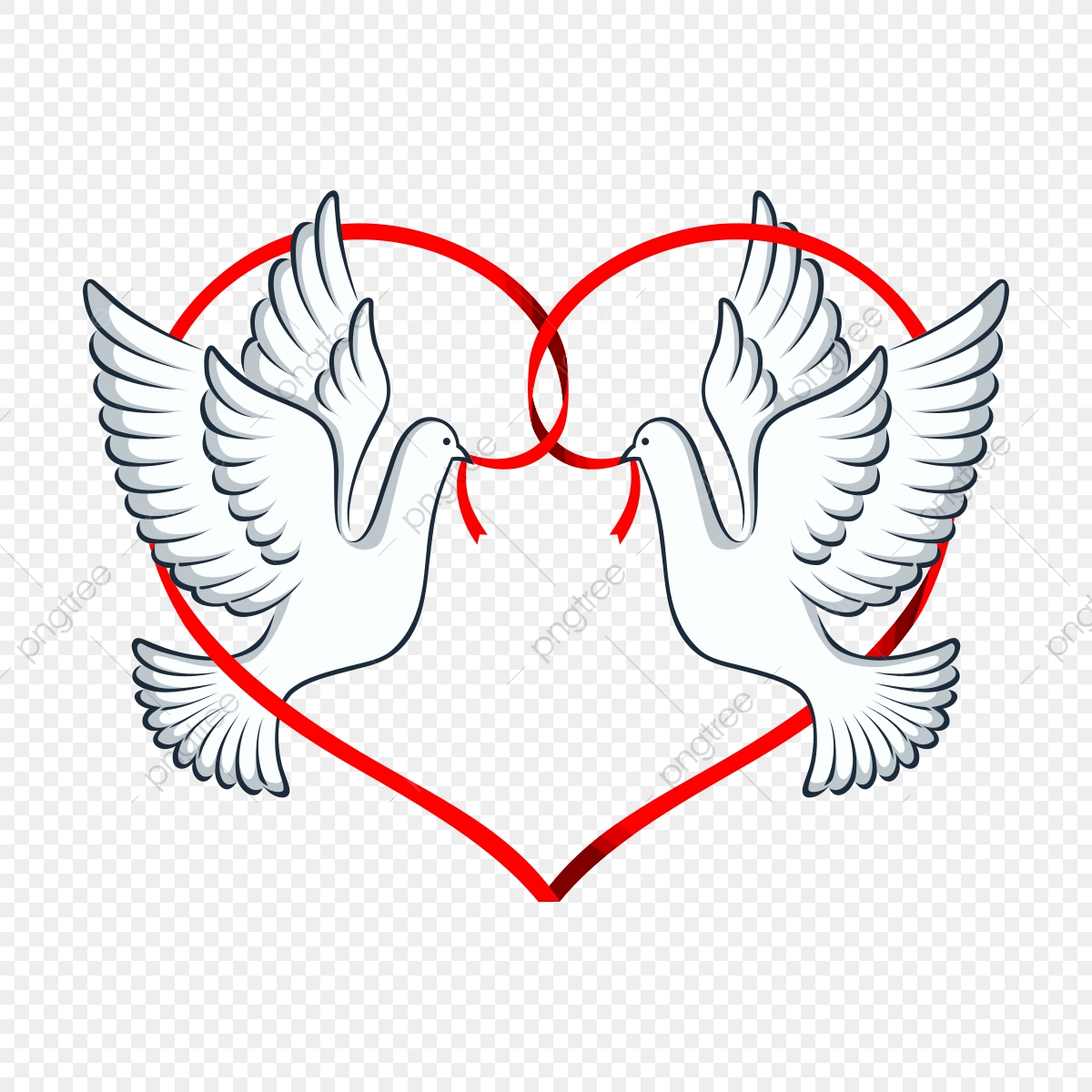 Pigeon clipart couple. Dove in love png