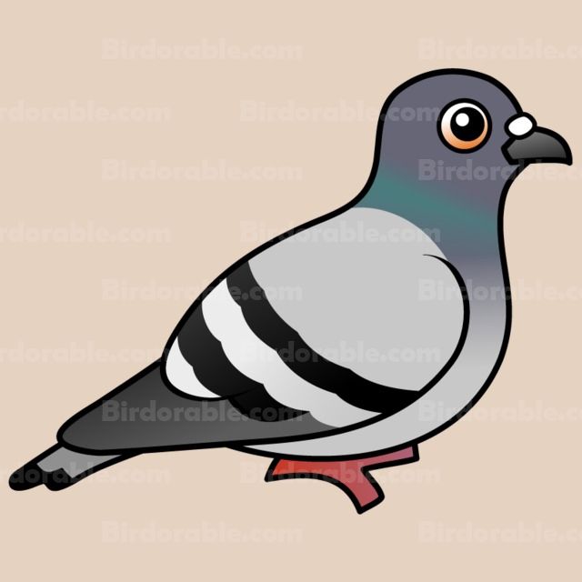 Pigeon clipart cute. Customizable rock round button