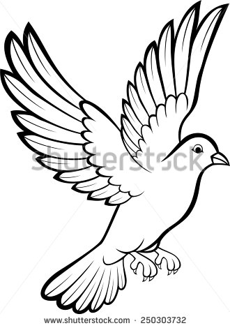 Outline free download best. Pigeon clipart drawing
