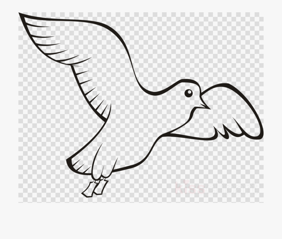Pigeon clipart drawing. Bird homing english carrier