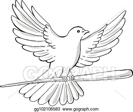 Vector art or dove. Pigeon clipart drawing
