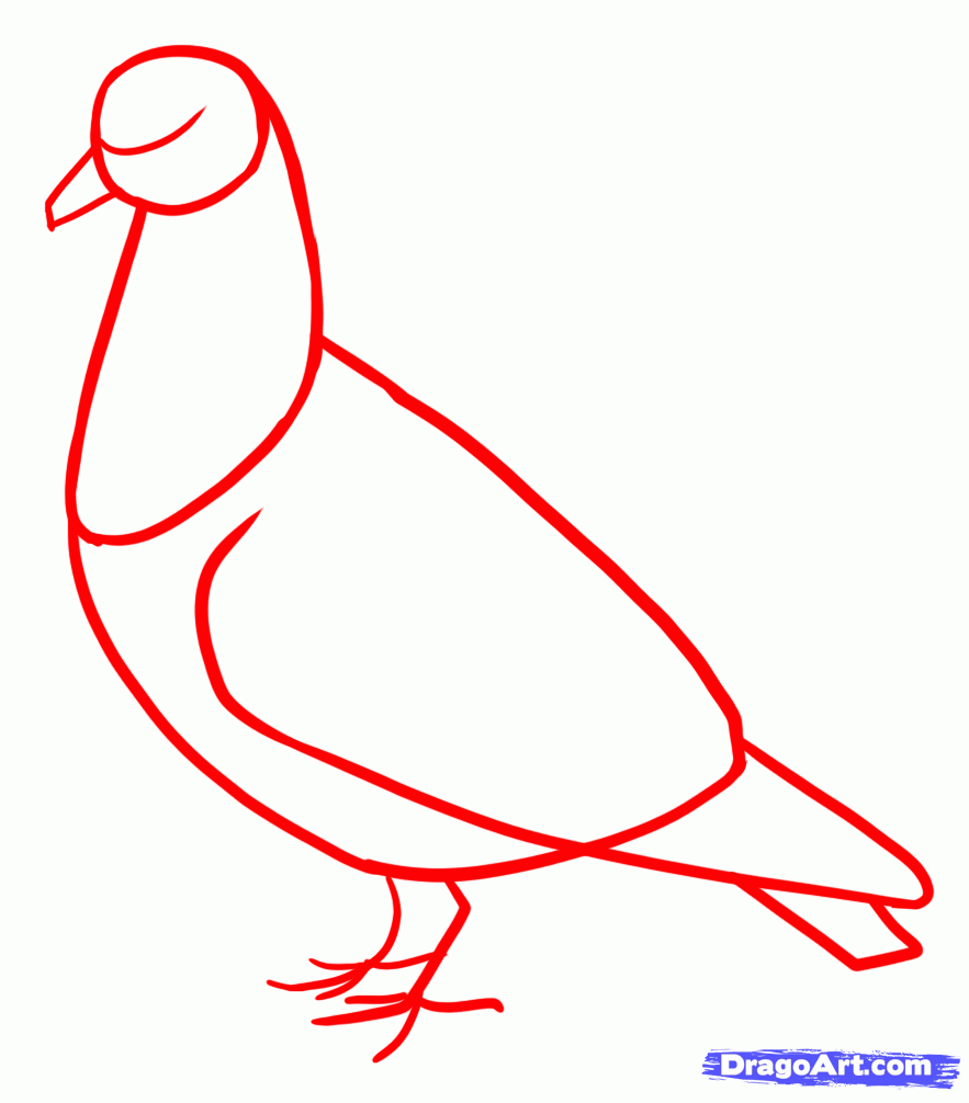 How to a diy. Pigeon clipart easy draw