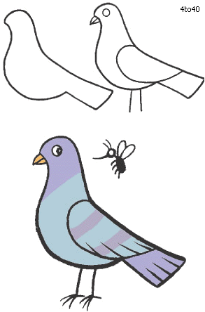 Drawing drawings in art. Pigeon clipart easy draw