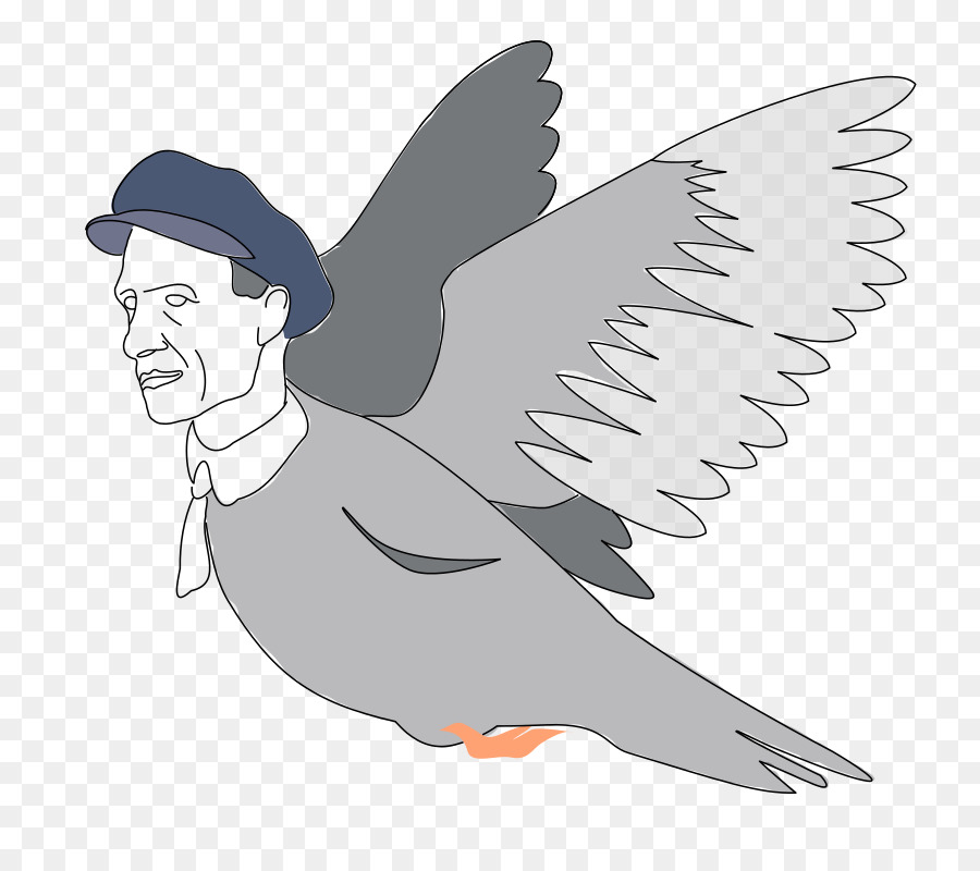 pigeon clipart face