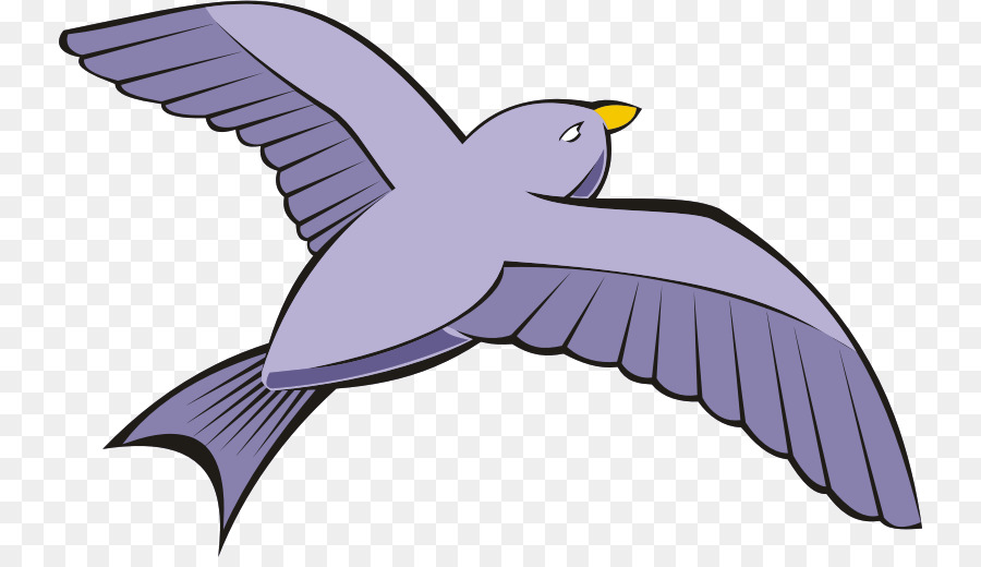 pigeon clipart flight wing