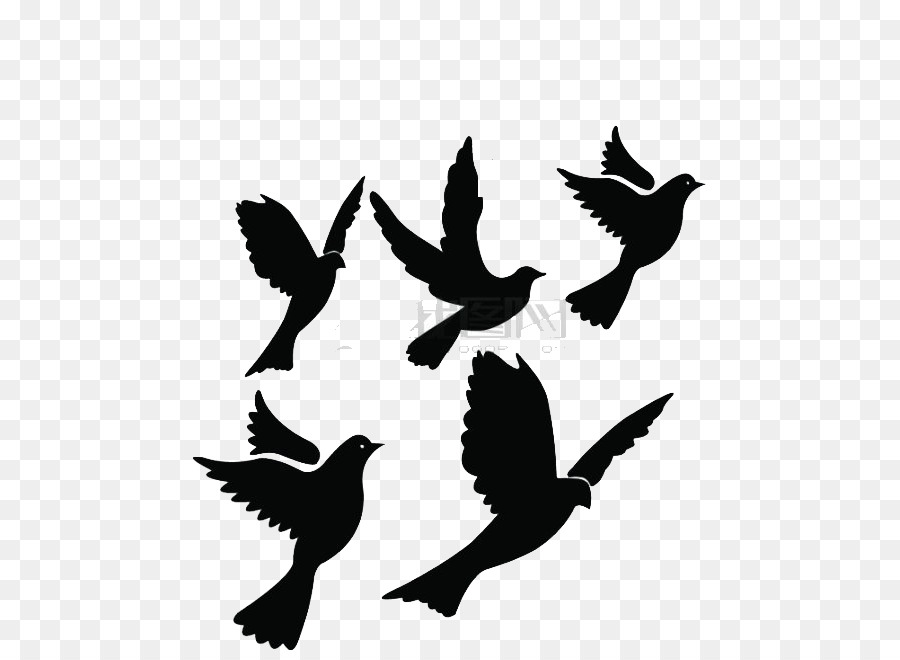 pigeon clipart flying