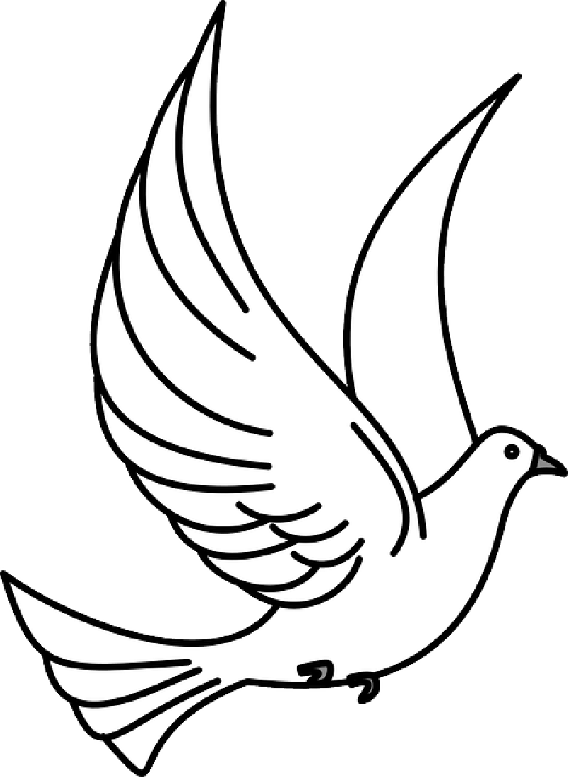 Outline drawings of birds. Pigeon clipart funeral dove