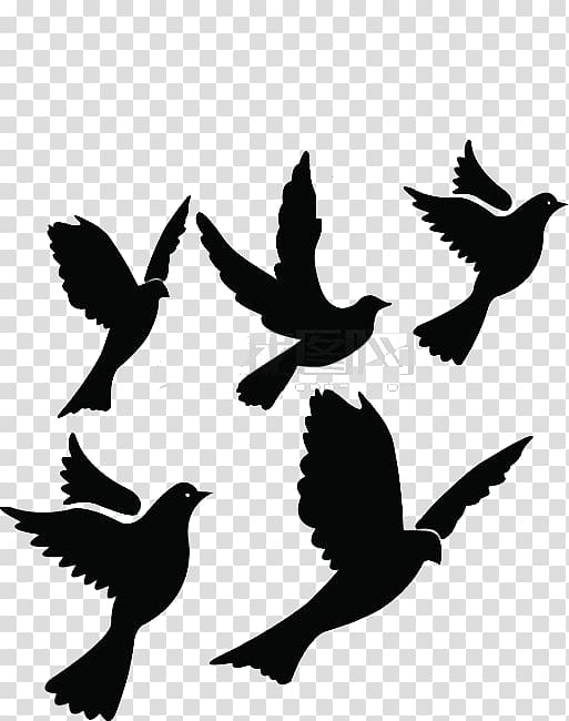 Pigeon clipart group. White flying transparent background