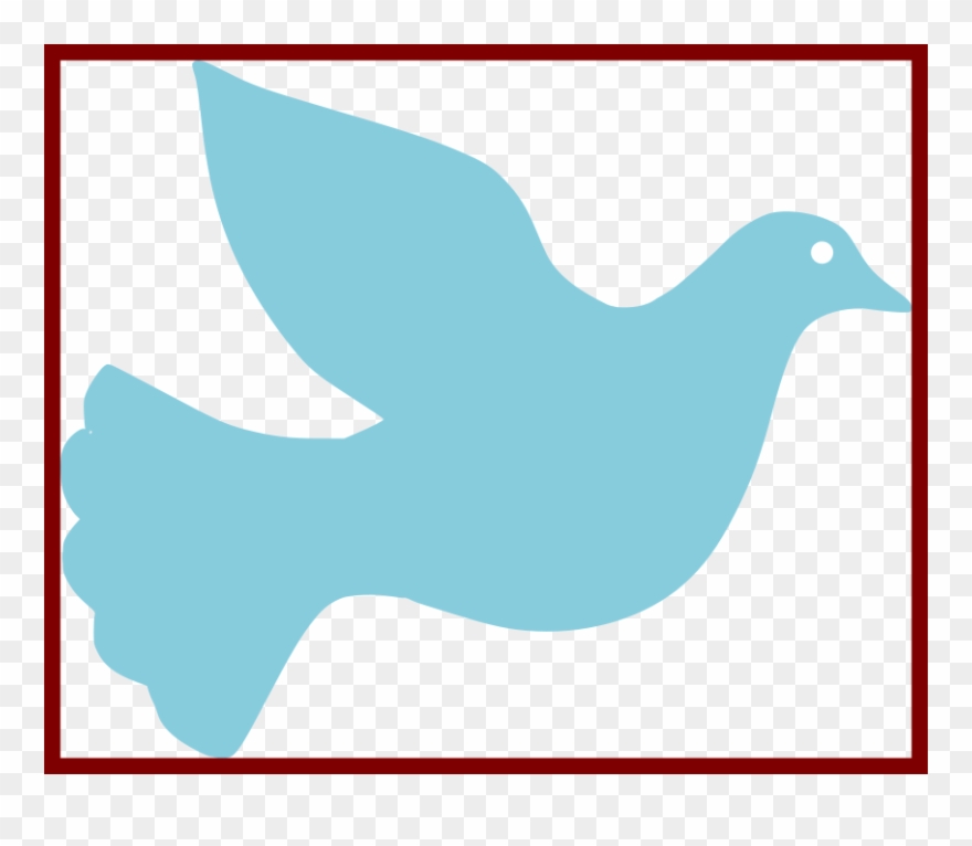 Pigeon clipart holy spirit. Doves pigeons and png