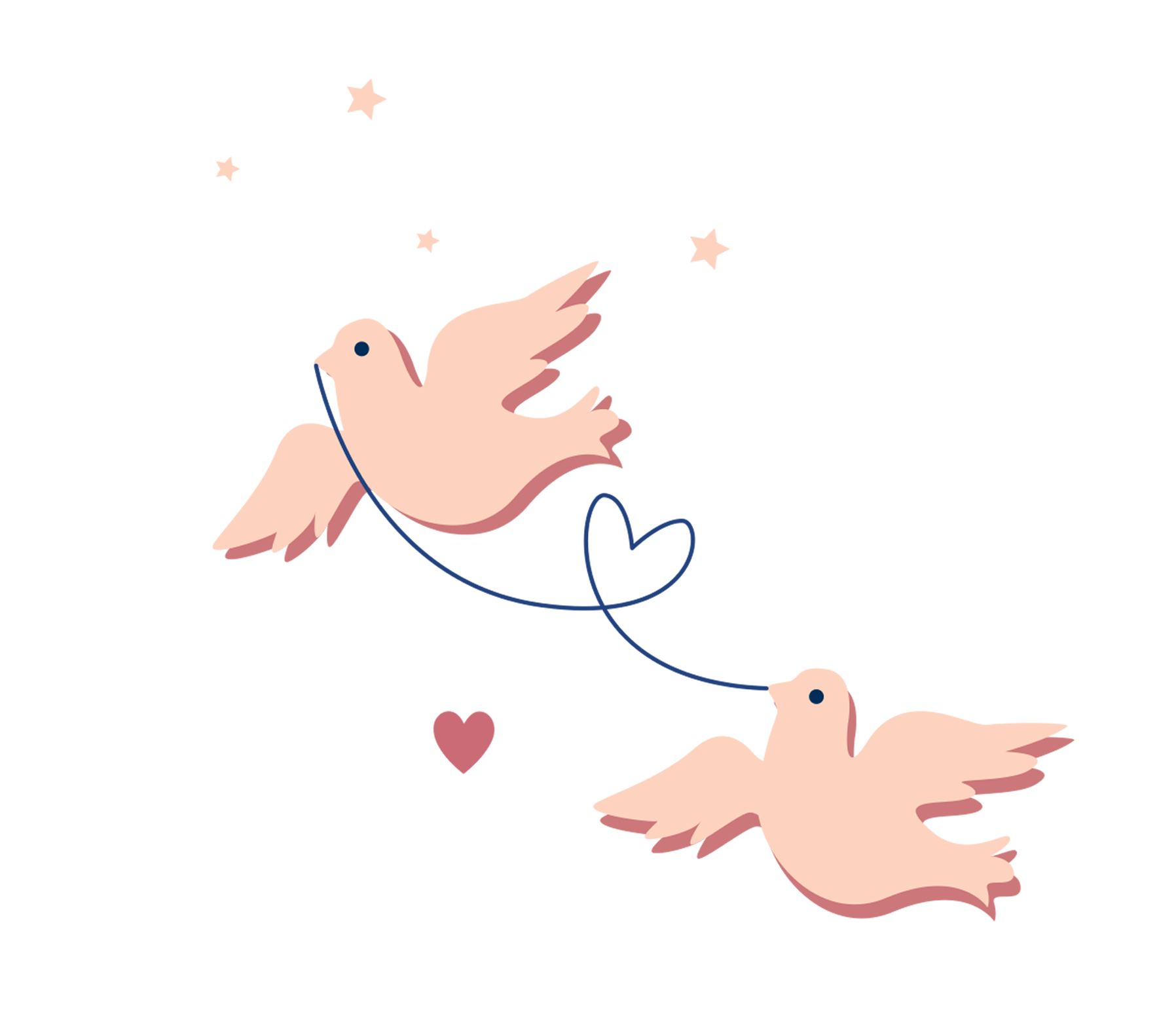 pigeon clipart homing pigeon
