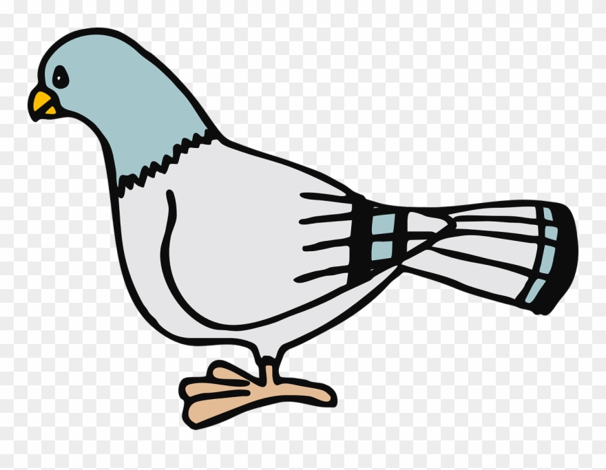 pigeon clipart homing pigeon