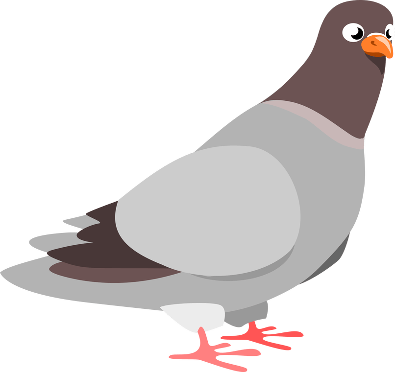 Pigeon clipart in flight. Images clip art djiwallpaper